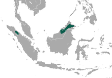 Northern Borneo and northern Sumatra