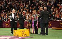 A group of people stand in front of a crowd where a liver colored dog stands ready to be awarded a prize