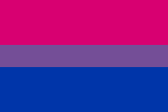 A flag with a pink stripe on top, a purple stripe in the middle, and a blue stripe on the bottom. The pink and blue stripes are both equal length but the purple stripe is thinner than the other stripes.