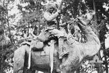A dark-skinned man wearing a turban is mounted on a camel. He is holding a vertically-aimed rifle in his right hand. Behind his is a background of trees.