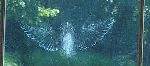 Faint white outline of bird's outstetched wings and body on windowpane
