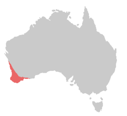 Southwestern tip of Australia