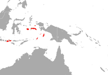 Lesser Sunda Islands near Java, and Maluku near New Guinea