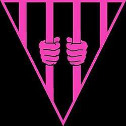 Logo of Black and Pink. Black background with a pink triangle crossed by prison bars, with two hands holding the bars.