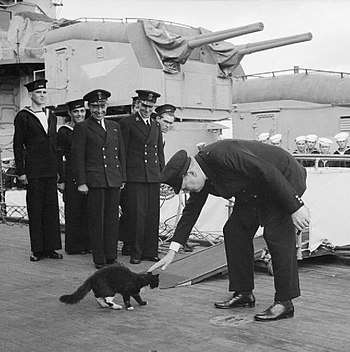 Atlantic Conference August 1941: Churchill restrains 'Blackie' the cat, the mascot of HMS Prince of Wales, from joining the USS McDougal, an American destroyer, while the ship's company stand to attention during the playing of the National Anthem