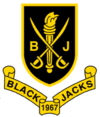 The Coat of Arms of the National Society of Blackjacks