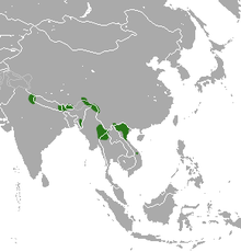 Scattered populations in northern Indochina, Nepal, and eastern India