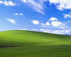 Bliss as seen in a clean Windows XP desktop