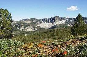 A photo of mountains and Indian paintbrush in Boise National Forest
