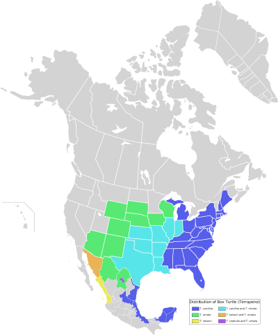 Distribution map