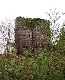 A small, ruined castle of rough stone comprising two connected, castellated towers, partly covered in ivy, surrounded by much vegetation. Numerous arrowslits indicate the walls to be three to four storeys tall. The upward direction of the image suggests that the castle is at the top of a hill