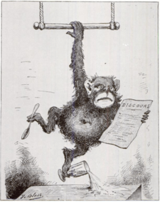 From Le Triboulet, February 1880. Caricature of Broca after he was named lifetime Senator.