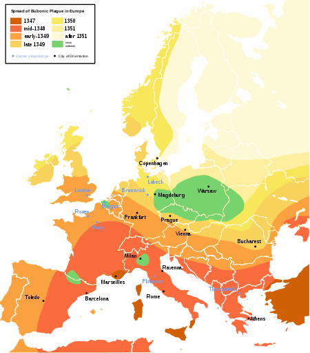 A computer generated map of Europe, with bands of colour marking the spread of the Black Death. England appears in amber, showing infection halfway through the epidemic