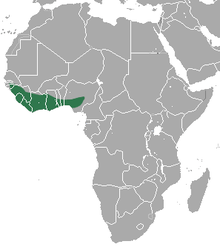 Gulf of Guinea coast in West Africa