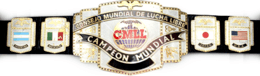 A picture of the championship belt