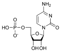 Skeletal formula of cytidine monophosphate as an anion (1- charge)