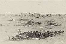 Magdhaba, with camels in foreground