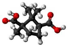 Ball-and-stick model of the camphoric acid molecule