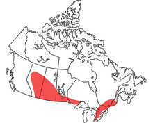 Map of Canadian Tornado Alleys
