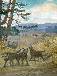 Painting of five dire wolves