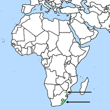 Range includes: Angola; Botswana; Burundi; Cameroon; Democratic Republic of the Congo; Côte d'Ivoire; Gambia; Ghana; Guinea; Guinea-Bissau; Liberia; Malawi; Mozambique; Namibia; Nigeria; Rwanda; South Africa; Swaziland; Tanzania; Togo; Uganda; Zambia; Zimbabwe.