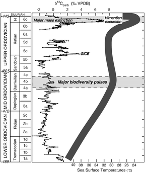 Ordovician Carbon 13 time scale