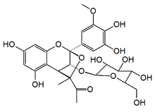 Chemical structure of castavinol C3