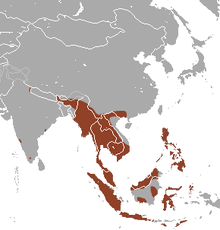 The Philippines, Borneo, Sulawesi, Sumatra, Java, Timor, Indochina, and scattered populations along the Indian coast and north India