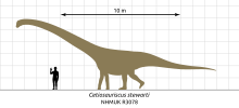 Light brown sauropod silhouette with a medium length neck, long tail and long limbs, shown beside two humans