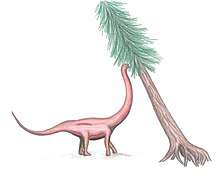 Coloured drawing of a sauropod with a long neck reaching to eat from a tree