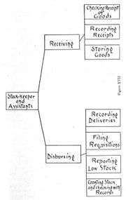 Chart of Stock Department, 1905