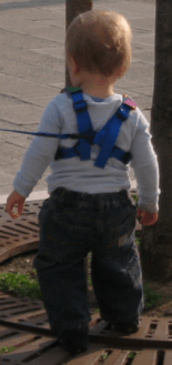 Child Harness (Standard type)