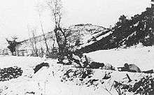 A line of soldiers in white camouflage lying on the snow, with weapons pointing towards the left