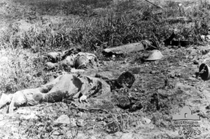 Several lifeless bodies lying in a field. To the left in the middle ground a soldier lies face down in the dirt, while another lies face up with arms outstretched among the grass behind him. Broken vegetation is strewn around the position, while to the right, two helmets lie on the ground.