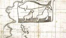 The Sea of Okhosk with the Kamchatka Peninsula to the left and Bering Island near the bottom. Above Bering Island and to the right of Russia are illustrations of Steller's sea cow and Steller's sea lion. For the sea cow, the body is oblong. On the left end is the head which is slightly smaller than the body, with a small eye with eyelids. Just behind the head on the underside is an arm that bends back towards the tail. The tail is drawn sideways like that of a fish to show the knotch, and the top half of the tail is shaded darker than the bottom half. For the sea lion, the back end of it is parallel to the ground, and the front end is perpendicular to the ground. The ears are thin and long. They have a thick neck, and a smashed-in face with the nose protruding. The front flipper is shaped like that of a dolphin, and drawn perpendicular to the ground, bending back towards the back-end. The back flipper is rectangular with four grooves parallel to each other on it.