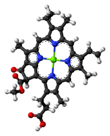 Chlorophyll c1 molecule