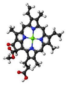 Chlorophyll c2 molecule