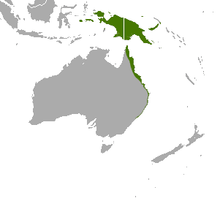 Maluku, New Guinea, and the eastern coast of Australia