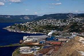 Corner Brook from above