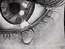 Pencil drawing of a crying eye.