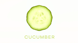 A sliced cucumber shown from the narrow end, with the title of the show–Cucumber–in green block capitals below.