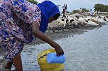 Woman collecting water in Kenya.
