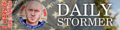 The Daily Stormer logo