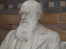 Statue of Darwin in Natural History Museum, London