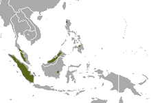 western Malay peninsula, Sumatra excluding the eastern coast, northern Borneo, and the Philippines