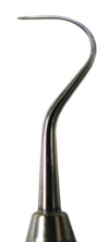Curved tip of a small metal probe, tapering to a point.