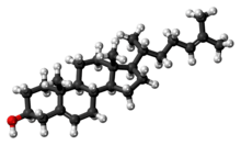 Ball-and-stick model of the desmosterol molecule