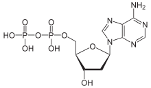 Skeletal formula of adenosine diphosphate