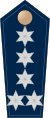 Blue epaulette with 5 silver stars