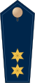 Blue epaulette with 2 golden stars